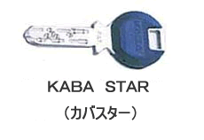 �f�B���v���L�[,�s�b�L���O�΍�,�o���s���O�΍�,�h�Ɛ��̍�����